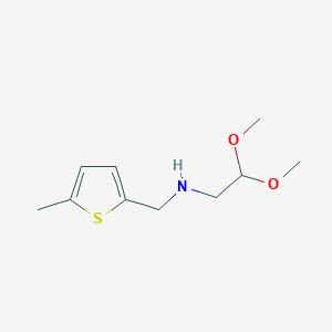 molecular formula C10H17NO2S B8683586 (2,2-Dimethyloxy-ethyl)-(5-methyl-thiophen-2-ylmethyl)-amine 