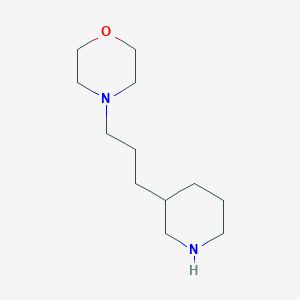 molecular formula C12H24N2O B8683982 3-[3-(4-Morpholinyl)propyl]piperidine 