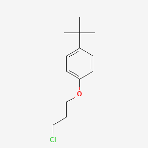 molecular formula C13H19ClO B8690288 1-Tert-butyl-4-(3-chloropropoxy)benzene CAS No. 100620-48-2