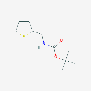 molecular formula C10H19NO2S B8695144 (Tetrahydro-thiophen-2-ylmethyl)-carbamic acid tert-butyl ester 