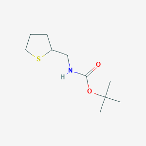 molecular formula C10H19NO2S B8695144 tert-butyl N-(thiolan-2-ylmethyl)carbamate 