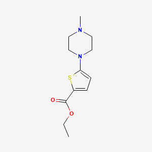 molecular formula C12H18N2O2S B8696551 Ethyl 5-(4-methylpiperazin-1-yl)thiophene-2-carboxylate 