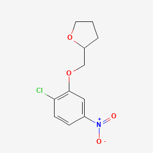 2-[(2-chloro-5-nitrophenoxy)methyl]oxolane