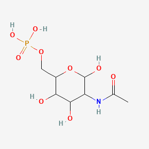 DISODIUM ACETYL GLUCOSAMINE PHOSPHATE