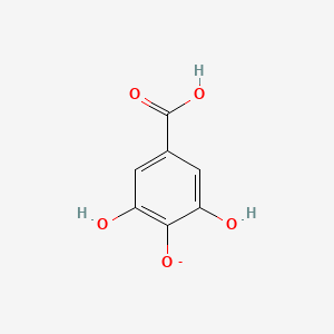 molecular formula C7H5O5- B8703473 3,4,5-Trihydroxybenzoate 