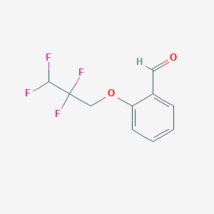 molecular formula C10H8F4O2 B8711663 2-(2,2,3,3-Tetrafluoropropoxy)benzaldehyde 