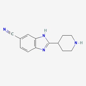 molecular formula C13H14N4 B8712552 2-piperidin-4-yl-1H-benzoimidazole-5-carbonitrile 