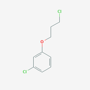 molecular formula C9H10Cl2O B8719520 1-Chloro-3-(3-chloropropoxy)benzene 
