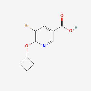 molecular formula C10H10BrNO3 B8719662 5-Bromo-6-cyclobutoxynicotinic acid 