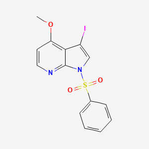 molecular formula C14H11IN2O3S B8721163 1-(benzenesulfonyl)-3-iodo-4-methoxy-1H-pyrrolo[2,3-b]pyridine 