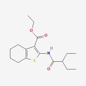 molecular formula C17H25NO3S B8723935 Ethyl 2-[(2-ethylbutanoyl)amino]-4,5,6,7-tetrahydro-1-benzothiophene-3-carboxylate 