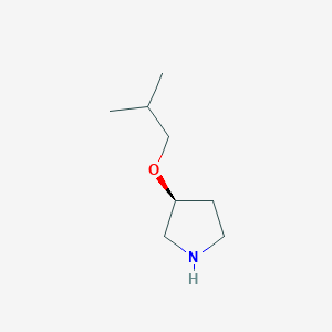 molecular formula C8H17NO B8724872 (S)-3-Isobutoxypyrrolidine 