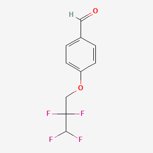 molecular formula C10H8F4O2 B8727170 4-(2,2,3,3-Tetrafluoropropoxy)benzaldehyde 