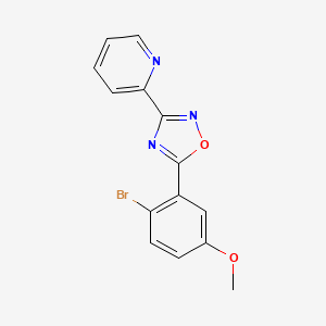 molecular formula C14H10BrN3O2 B8728334 2-[5-(2-Bromo-5-methoxyphenyl)-1,2,4-oxadiazol-3-yl]pyridine 