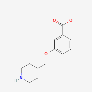molecular formula C14H19NO3 B8728692 Methyl 3-[(piperidin-4-yl)methoxy]benzoate CAS No. 917903-78-7