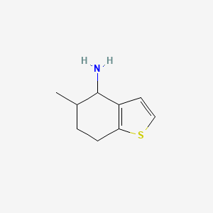 molecular formula C9H13NS B8734888 5-Methyl-4,5,6,7-tetrahydro-1-benzothiophen-4-amine CAS No. 216482-55-2