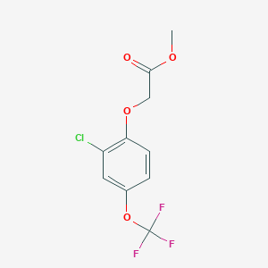 molecular formula C10H8ClF3O4 B8736134 Methyl [2-chloro-4-(trifluoromethoxy)phenoxy]acetate CAS No. 653578-82-6
