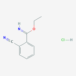molecular formula C10H11ClN2O B8739230 Ethyl 2-cyanobenzimidate hydrochloride 