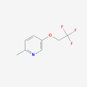 molecular formula C8H8F3NO B8740348 2-Methyl-5-(2,2,2-trifluoroethoxy)pyridine 