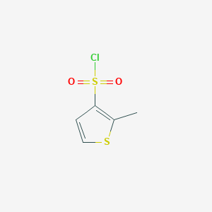 molecular formula C5H5ClO2S2 B8740836 2-Methylthiophene-3-sulfonyl chloride 