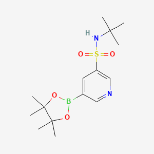 N-(tert-Butyl)-5-(4,4,5,5-tetramethyl-1,3,2-dioxaborolan-2-yl)pyridine-3-sulfonamide