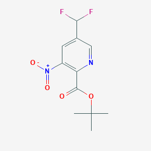 5-Difluoromethyl-3-nitro-pyridine-2-carboxylic acid tert-butyl ester