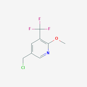 molecular formula C8H7ClF3NO B8754797 5-(Chloromethyl)-2-methoxy-3-(trifluoromethyl)pyridine 