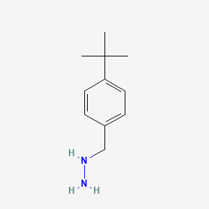 molecular formula C11H18N2 B8754999 [(4-tert-Butylphenyl)methyl]hydrazine CAS No. 51860-02-7
