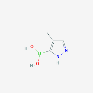 molecular formula C4H7BN2O2 B8756736 (4-methyl-1H-pyrazol-5-yl)boronic acid 