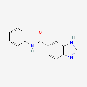 N-phenyl-1H-1,3-benzodiazole-5-carboxamide