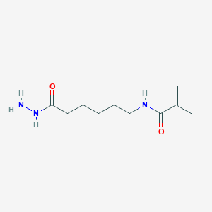 molecular formula C10H19N3O2 B8759736 6-(Methacrylamido)hexanohydrazide CAS No. 929020-77-9