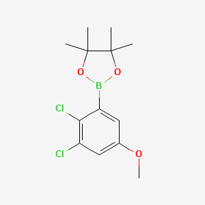 2-(2,3-Dichloro-5-methoxyphenyl)-4,4,5,5-tetramethyl-1,3,2-dioxaborolane