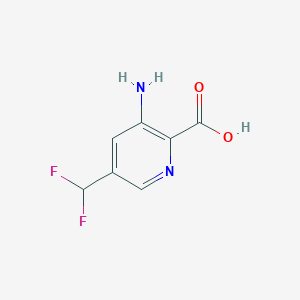 molecular formula C7H6F2N2O2 B8760385 3-Amino-5-difluoromethyl-pyridine-2-carboxylic acid 