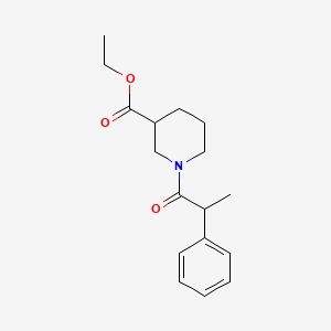 molecular formula C17H23NO3 B8761185 Ethyl 1-(2-phenylpropanoyl)-3-piperidinecarboxylate 