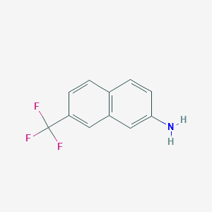 molecular formula C11H8F3N B8767977 7-(Trifluoromethyl)naphthalen-2-amine 