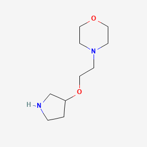 molecular formula C10H20N2O2 B8770807 4-[2-(Pyrrolidin-3-yloxy)ethyl]morpholine CAS No. 67563-58-0
