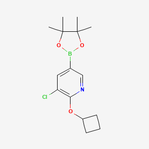 molecular formula C15H21BClNO3 B8771941 3-Chloro-2-cyclobutoxy-5-(4,4,5,5-tetramethyl-1,3,2-dioxaborolan-2-YL)pyridine 