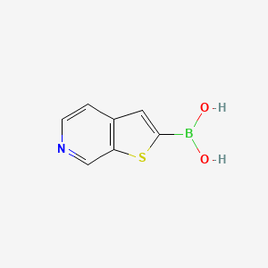 molecular formula C7H6BNO2S B8772690 Thieno[2,3-c]pyridin-2-ylboronic acid 