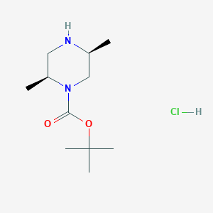 molecular formula C11H23ClN2O2 B8777861 (2S,5S)-1-Boc-2,5-dimethylpiperazine HCl 