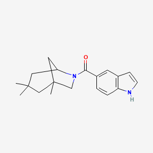 molecular formula C19H24N2O B8778754 1H-indol-5-yl(1,3,3-trimethyl-6-azabicyclo[3.2.1]oct-6-yl)methanone 