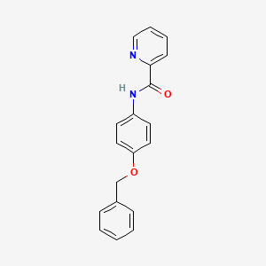 molecular formula C19H16N2O2 B8780473 N-[4-(benzyloxy)phenyl]pyridine-2-carboxamide 