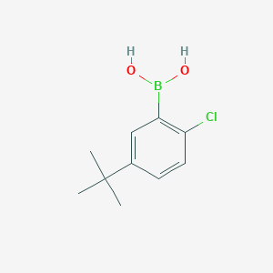 molecular formula C10H14BClO2 B8787568 5-Tert-butyl-2-chlorophenylboronic acid 