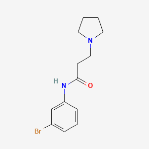 molecular formula C13H17BrN2O B8792287 N-(3-bromophenyl)-3-pyrrolidin-1-ylpropanamide 