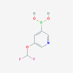molecular formula C6H6BF2NO3 B8792503 (5-(Difluoromethoxy)pyridin-3-yl)boronic acid 
