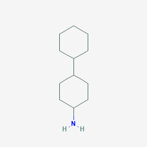 B8793600 4-cyclohexylcyclohexan-1-amine CAS No. 6623-10-5