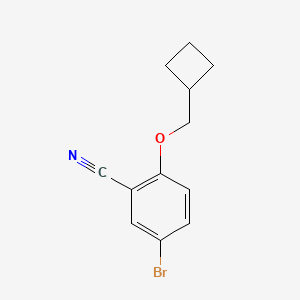 molecular formula C12H12BrNO B8802954 5-Bromo-2-(cyclobutylmethoxy)benzonitrile 