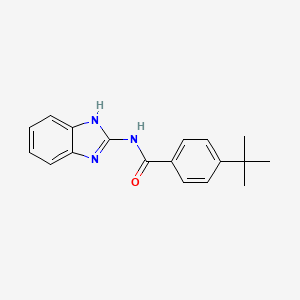 molecular formula C18H19N3O B8805529 N-(1H-benzimidazol-2-yl)-4-tert-butylbenzamide 