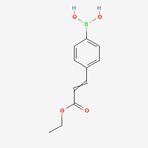 molecular formula C11H13BO4 B8811561 [4-(3-Ethoxy-3-oxoprop-1-enyl)phenyl]boronic acid 