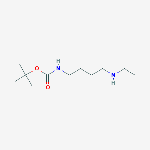 molecular formula C11H24N2O2 B8814112 Tert-butyl 4-(ethylamino)butylcarbamate 