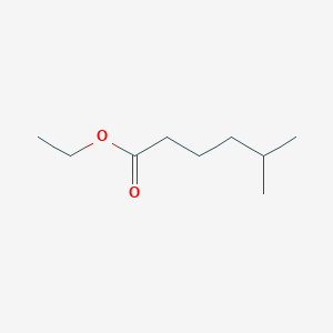 B088932 Ethyl 5-methylhexanoate CAS No. 10236-10-9